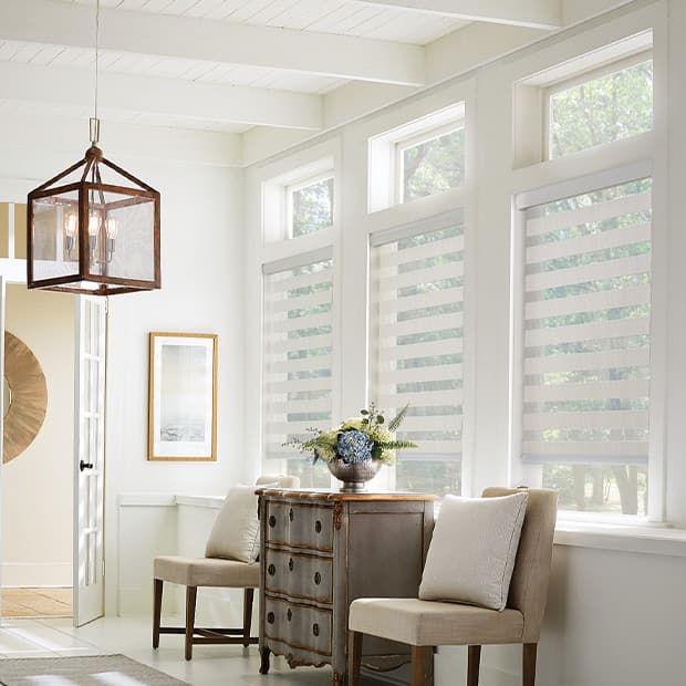 Modern zebra shades